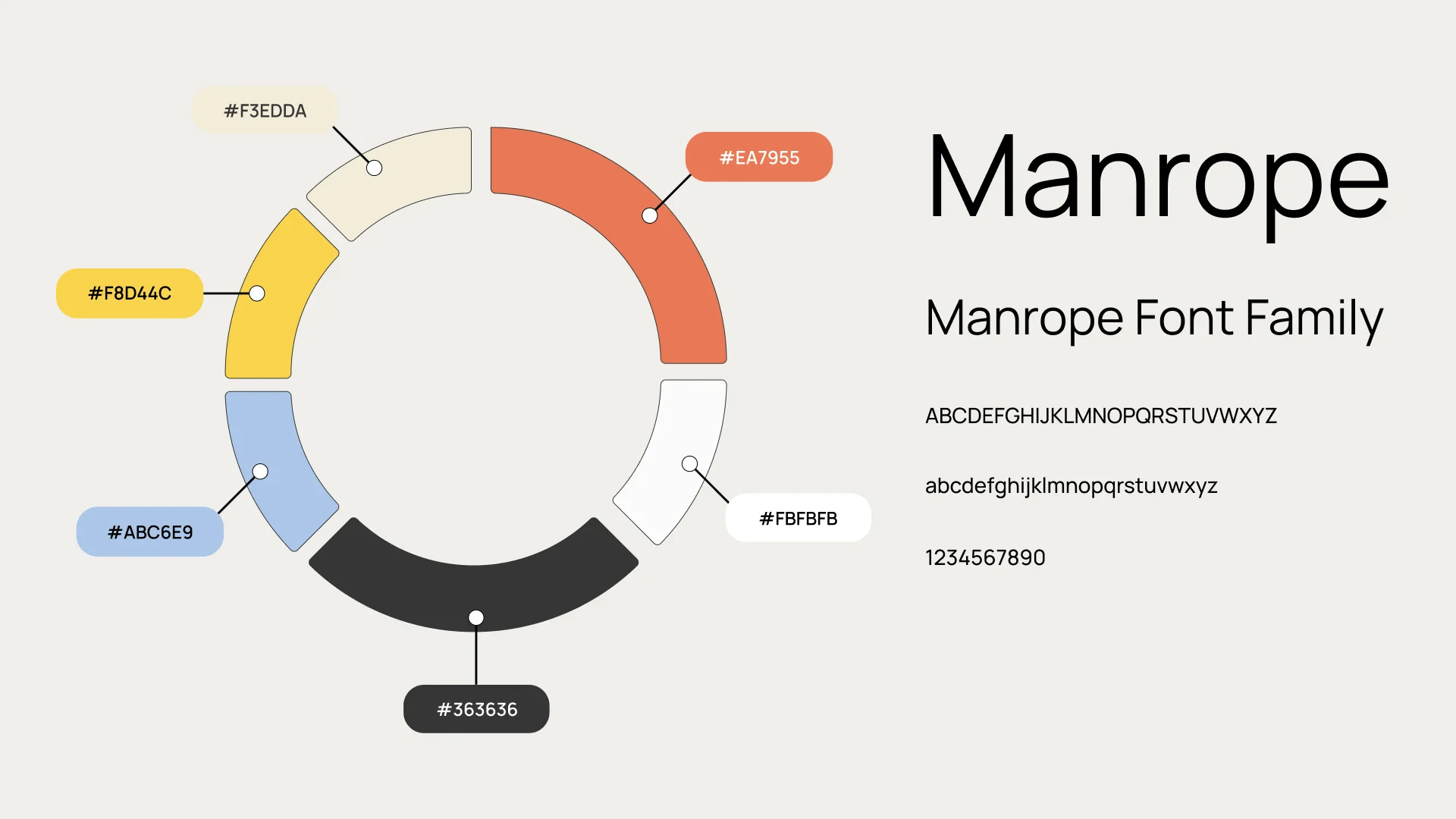 Color Palette & Typography